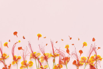 Flowers composition. Pattern made of colorful flowers on pink pastel background. copy space.