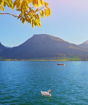 White swan and boat on lake water. Amazing morning scene of Wolfgansee lake, St Wolfgang Austria Hallstatt Europe. Beautiful colorful landscape of Alps mountains. Traveling concept nature background.