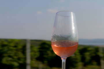 Glass of wine (rosé) in vineyard