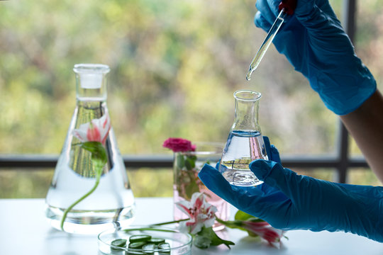 In laboratory ,natural orgaric extraction and flower herble aroma assence in flasks.beauty scientist ,research and develop project medicine for health and beauty care.