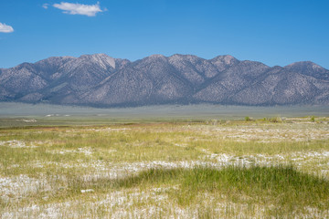Glass Mountain Ridge, part of the White Mountains in California, in the distance with grasses and...