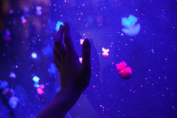 Fototapeta na wymiar Trying to touch beautiful bright jellyfish with your hand
