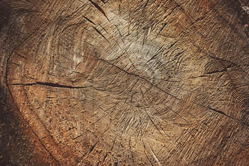 Fototapeta premium Abstract Wooden Background