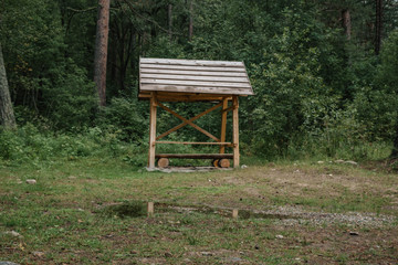Obraz premium wooden gazebo standing deep in the forest