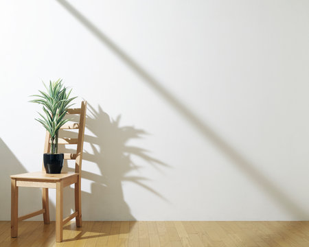 houseplant on a chair with sun light