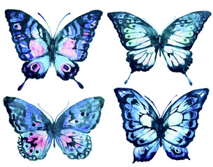 Obraz na płótnie Canvas beautiful butterfly,watercolor, isolated on a white