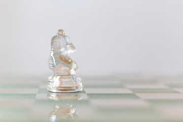 Chess Knight Horse on chessboard