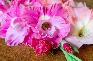 Bouquet gladiolus rests upon dark