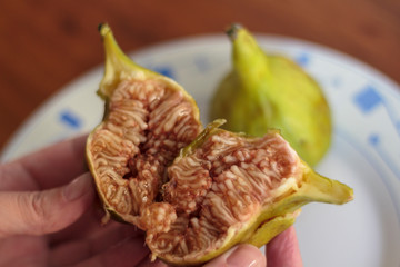 Hand holding a fresh cut fig