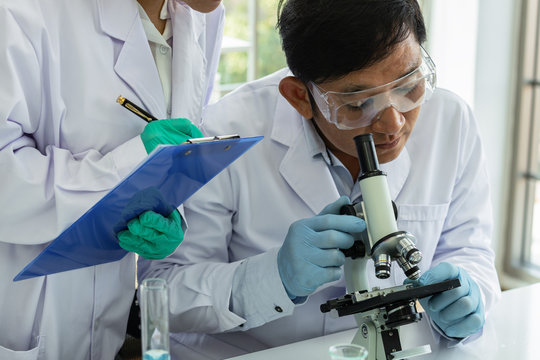 In laboratory,scientists teamwork with microscope,lab tubes,flask make test and research extraction science,chemistry and technology biology.