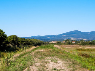 Tuscany, view of meadow and Apennines in the background.