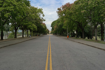 Fototapeta na wymiar Empty road and trees