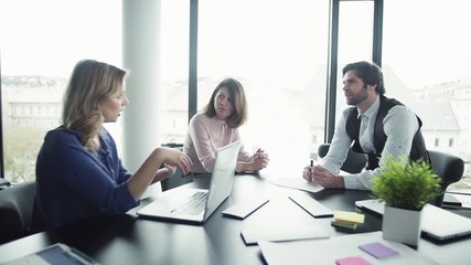 A group of business people with laptop sitting in an office, talking.