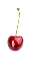 Cherry isolated on white background with clipping path