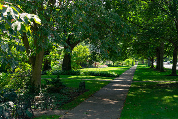 Fototapeta na wymiar Residential Shaded Sidewalk with Green Trees in Evanston Illinois 