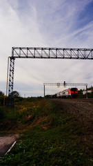 Obraz premium overgrown plants slope near the railway tracks and a moving train.