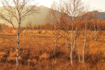 日光戦場ヶ原（秋）