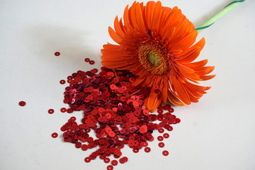Gerbera flower and red sequins. Love concept. Copy space.