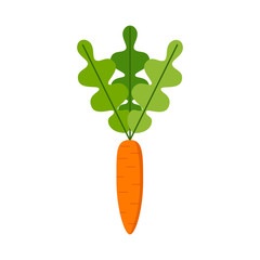 Carrot vector icon. Carrot icon isolated on white background. Veg icon illustration. Carrot, vegetable, vector flat style. Vector orange flat carrot icon.