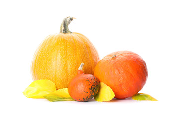 Group of fresh pumpkins and leaves isolated on white background
