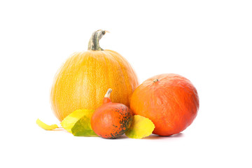 Group of fresh pumpkins and leaves isolated on white background