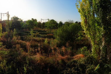 Obraz na płótnie Canvas green wasteland and railways track in eastern suburb of Paris