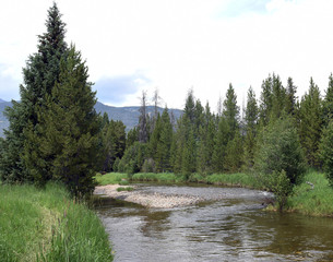 Mountain Stream through the valley