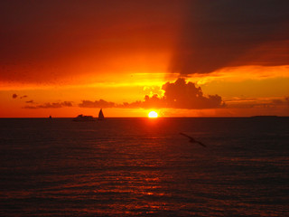 Fototapeta na wymiar wonderful sunset over the ocean