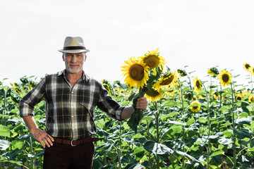 happy farmer standing with hand on hip and holding sunflowers near field