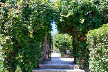 arched fence overgrown with bushes