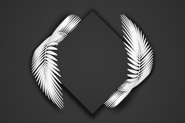 Abstract black and white modern background of a square frame surrounded by two rounded fluffy palm leaves. 3D illustration.3D render