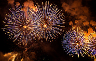Nice, colorful fireworks abstract in the evening