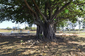 A beautiful view of Deck Sul Park in Brasilia, Brazil.
