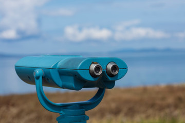 Bee on Beach Telescope