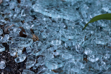 glass shards