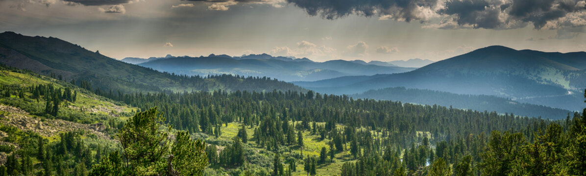 Beautiful sunset view in cedar forest in front of sayan mountain range, Ergaki national park, Krasnoyarsk region, Siberia, Russia 