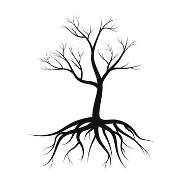 tree silhouette with roots, without leaves on white background vector illustration