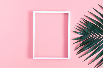 Summer modern composition. White photo frame, tropical green leaves of palm tree on pastel pink background. Flat lay, top view, copy space