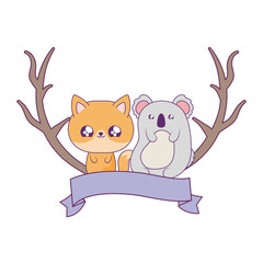 cute fox with koala baby animals kawaii