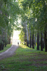 Young woman jogging in city park at early morning. Promenade in a beautiful city park.