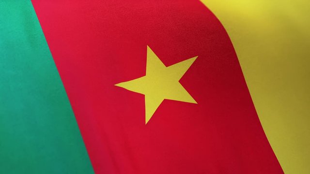 Cameroon national flag seamlessly waving on realistic satin texture 29.97FPS