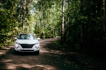 White suv speeding on forest. Off road. white car