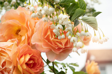 Roses and white flowers