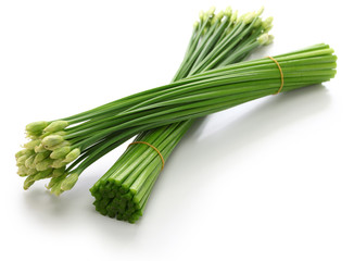 flowering garlic chives isolated on white background
