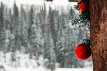 Ready for New year in village house in the forest