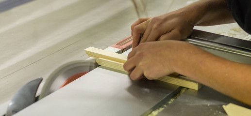 Tischlerin Tischler an Kreissäge Säge präzise sägen Holzwerkstatt Holzsägen in der Werkstatt