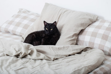 black cat on bed