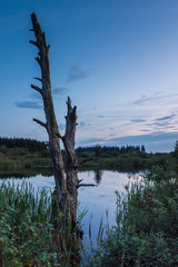 Obraz premium Sonnenuntergang in der Eifel im Brackvenn