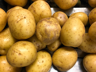 Macro photo food root vegetable potatoes. Heap of potatos root. Close-up potatos texture. Macro potato