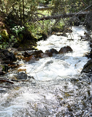 Mountain Stream Cascading by
